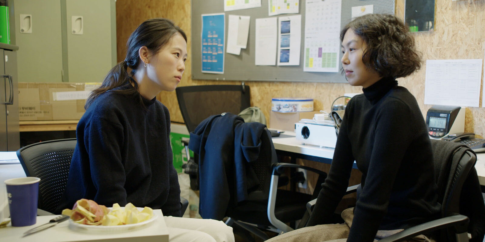 LA MUJER QUE ESCAPÓ
